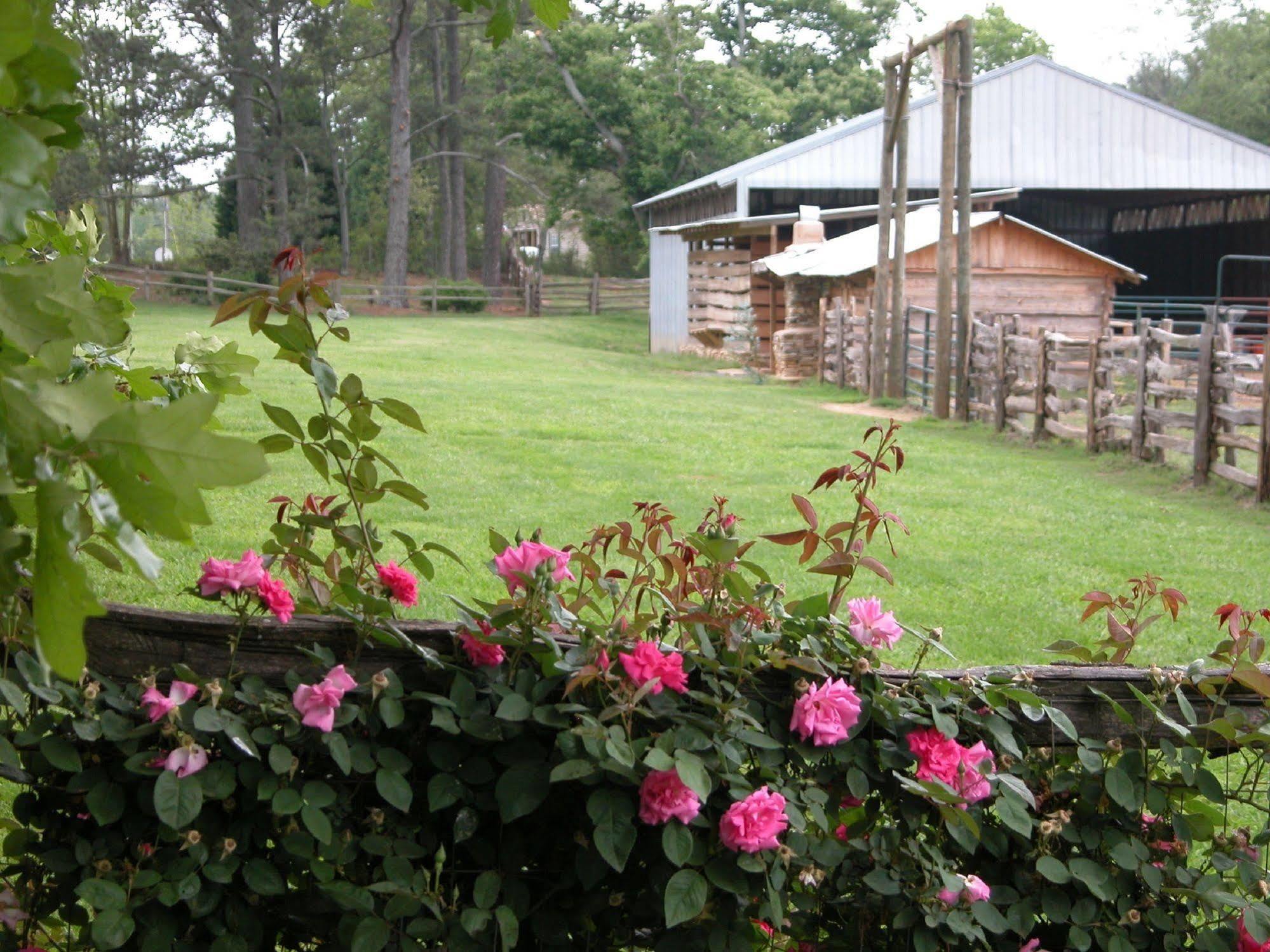 Seventy-Four Ranch Jasper Exterior foto